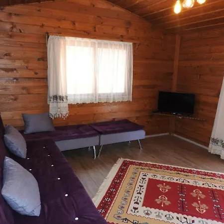 Defnewoodhome Appartement *